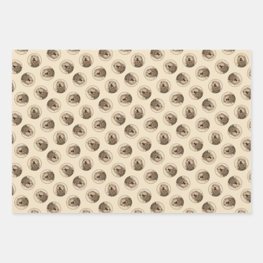 Otterhound Malerei Schwarz und Tan Original Hunde Geschenkpapier Set (Vorderseite)