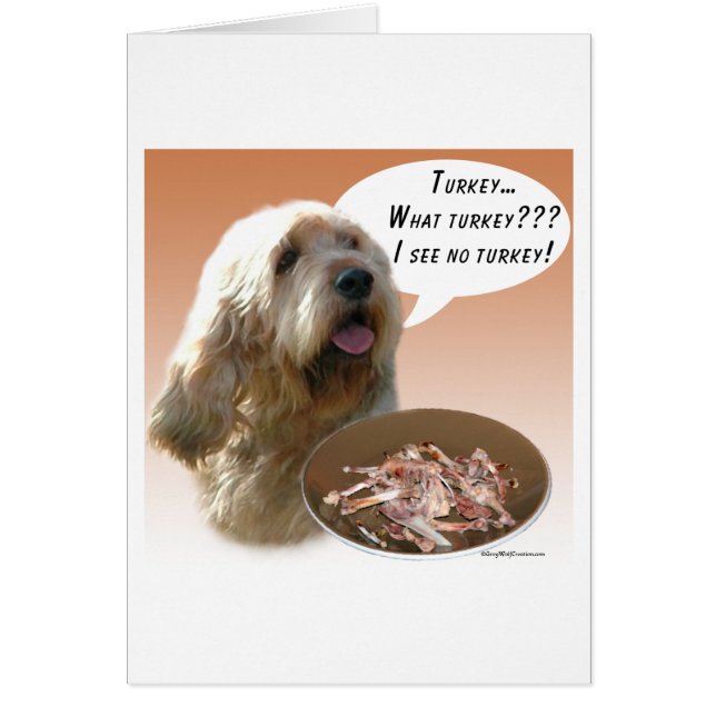 Otterhound Türkei (Vorne)