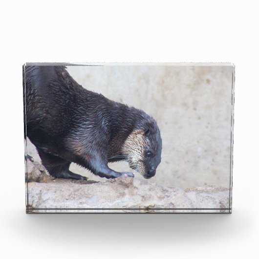 Otterky Fotoblock (Vorderseite)