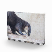 Otterky Fotoblock (Rechts)