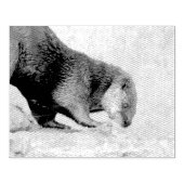 Otterky Gummistempel (Prägung)