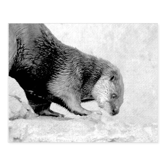 Otterky Gummistempel (Prägung)