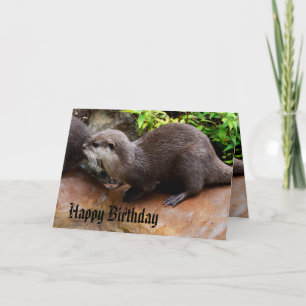 Otterliebenswerter kleiner grauer Otter, Herzliche Karte