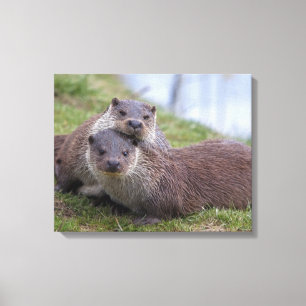 Otterly in der Liebe wickelte Leinwand-Druck ein Leinwanddruck