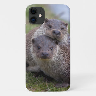 Otterly in Love iPhone 11 Hülle
