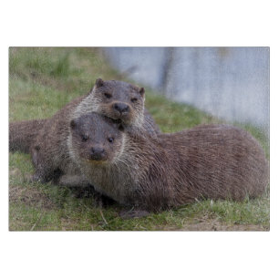 Otterly Liebe-im rechteckigen Ausschnitt-Brett Schneidebrett