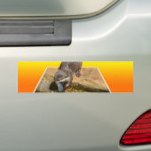 Otterly Orange, Autoaufkleber (Auf Auto)