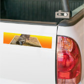Otterly Orange, Autoaufkleber (Auf Lkw)