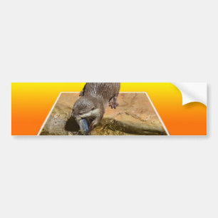 Otterly Orange, Autoaufkleber