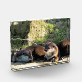 OTTERN FOTOBLOCK (Links)