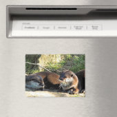 OTTERN MAGNET (In Situ (Geschirrspüler))