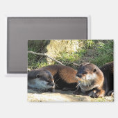 OTTERN MAGNET (Vorderseite/Rückseite)