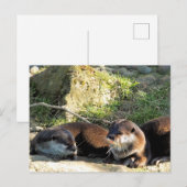 OTTERN POSTKARTE (Vorne/Hinten)