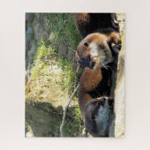 OTTERN PUZZLE (Vertikal)