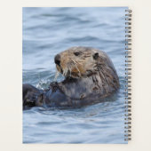 Otterplaner Planer (Rückseite)