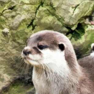 OTTERS iPhone 8/7 HÜLLE