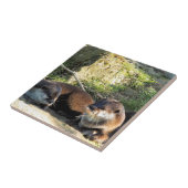 OTTERS FLIESE (Seite)