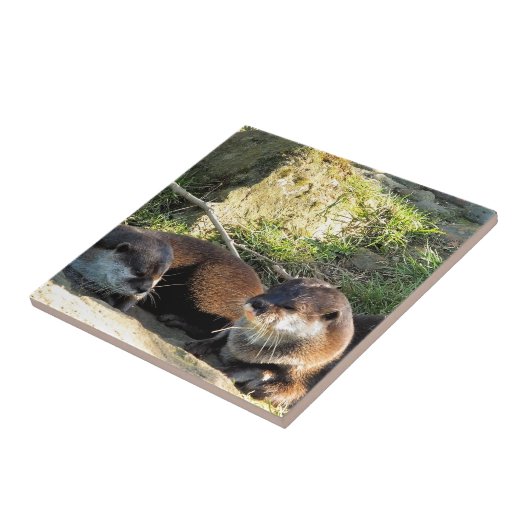 OTTERS FLIESE (Seite)