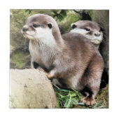 OTTERS FLIESE (Vorderseite)