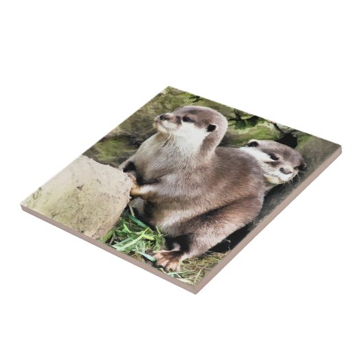 OTTERS FLIESE (Seite)