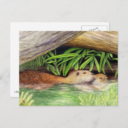 Otters Floating Wildlife Art Postkarte (Vorne/Hinten)