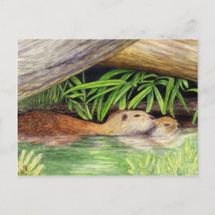 Otters Floating Wildlife Art Postkarte