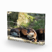 OTTERS FOTOBLOCK (Rechts)