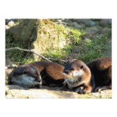 OTTERS FOTODRUCK (Vorne)