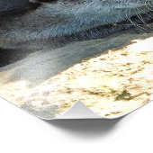 OTTERS FOTODRUCK (Ecke)