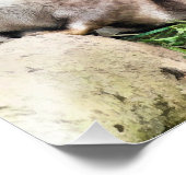 OTTERS FOTODRUCK (Ecke)