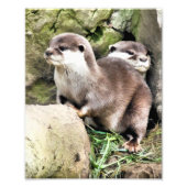 OTTERS FOTODRUCK (Vorne)