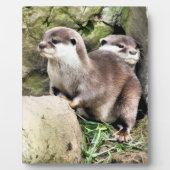 OTTERS FOTOPLATTE (Vorderseite)