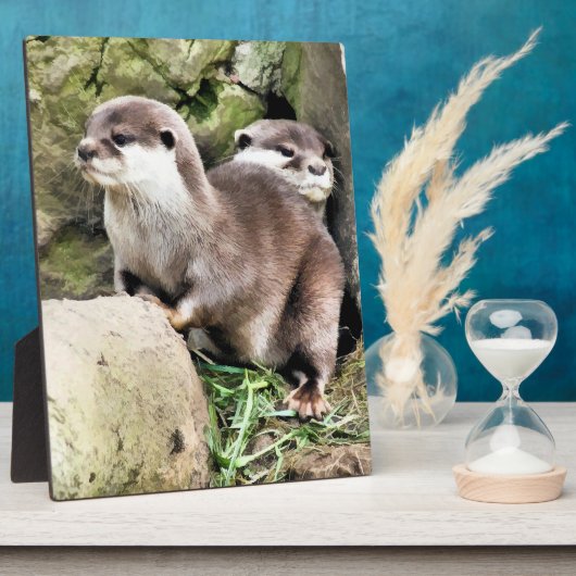 OTTERS FOTOPLATTE (Seite)