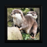 OTTERS GESCHENKBOX<br><div class="desc">Ein Aquarelldesign aus zwei sehr niedlichen kleinen Ottern.</div>