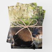 OTTERS GESCHENKPAPIER SET (Beispiel)