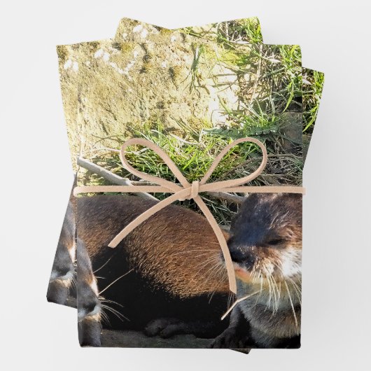 OTTERS GESCHENKPAPIER SET (Beispiel)