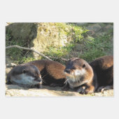 OTTERS GESCHENKPAPIER SET (Vorderseite)