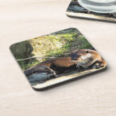 OTTERS GETRÄNKEUNTERSETZER (Linke Seite)