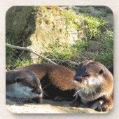OTTERS GETRÄNKEUNTERSETZER (Vorderseite)