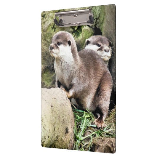 OTTERS KLEMMBRETT (Links)
