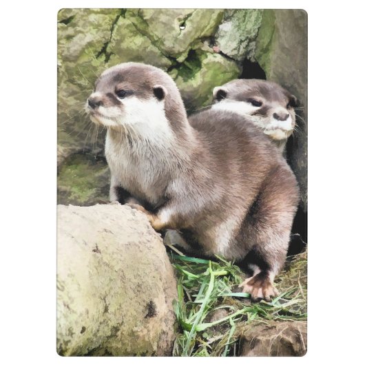 OTTERS KLEMMBRETT (Rückseite)
