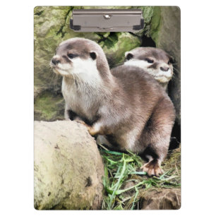 OTTERS KLEMMBRETT