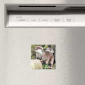 OTTERS MAGNET (In Situ (Geschirrspüler))