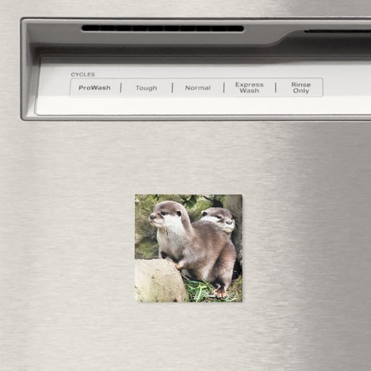OTTERS MAGNET (In Situ (Geschirrspüler))