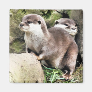 OTTERS MAGNET