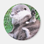 OTTERS MAGNET (Vorne)