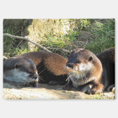 OTTERS MAGNET (Vorderseite)