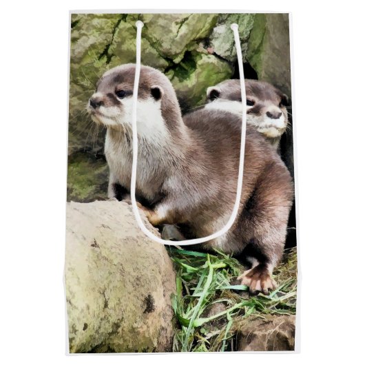 OTTERS MITTLERE GESCHENKTÜTE (Rückseite)