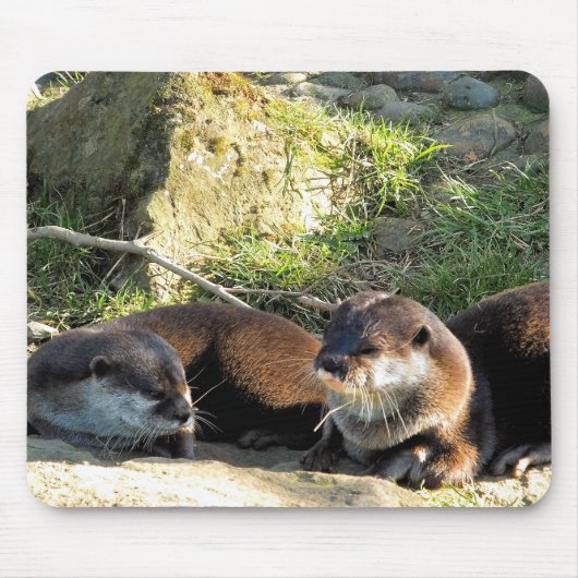 OTTERS MOUSEPAD (Vorne)