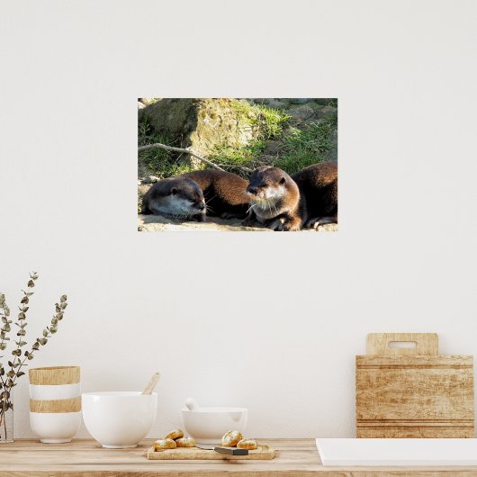 OTTERS POSTER (Küche)